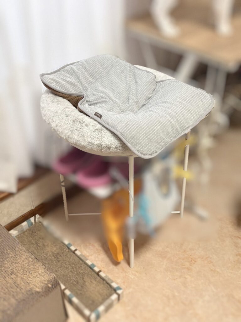 After:GLADOMの上にのせた、丸いふわふわのベッドとグレーの毛布