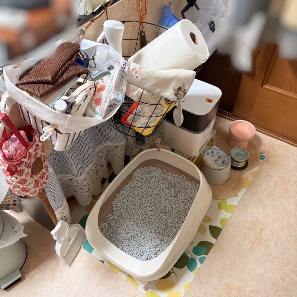 Before:猫トイレのまわりと上に、かご・ワゴン・キッチンペーパー・バッグなどが積み重なっている