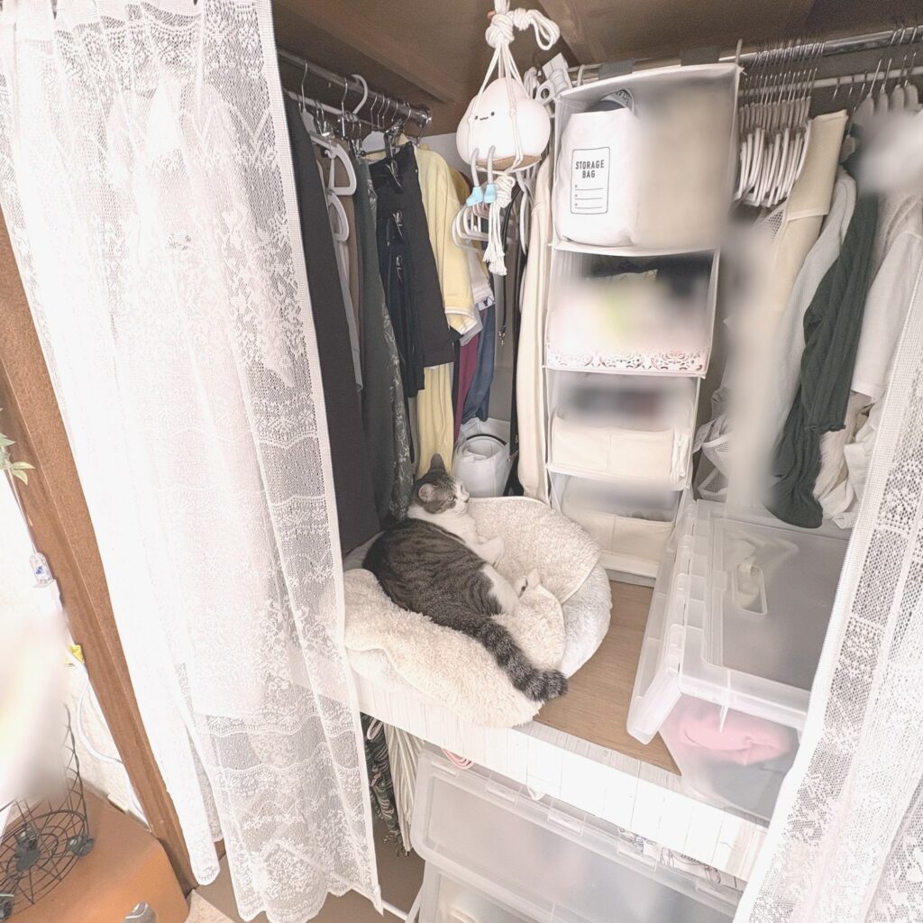 レースのカーテンを開けた押し入れ。上段の左に丸いベッドがあり、Pちゃんが寝ている