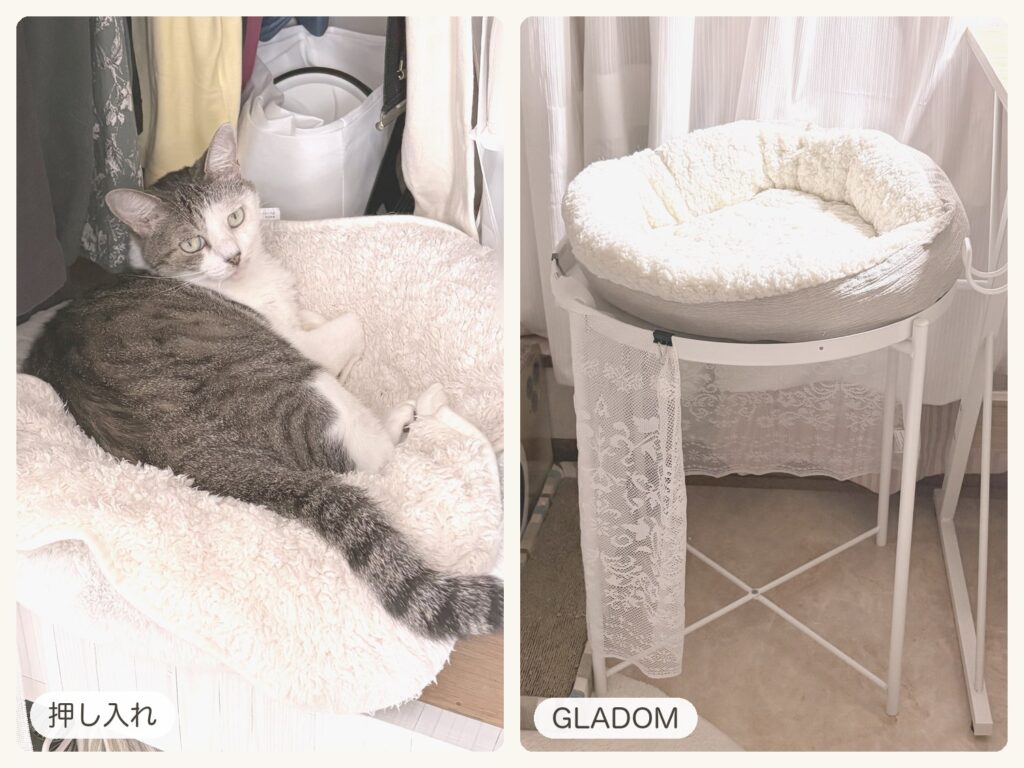 DAY 20「押し入れクローゼットの中に、猫の寝床をつくる」のサムネイル