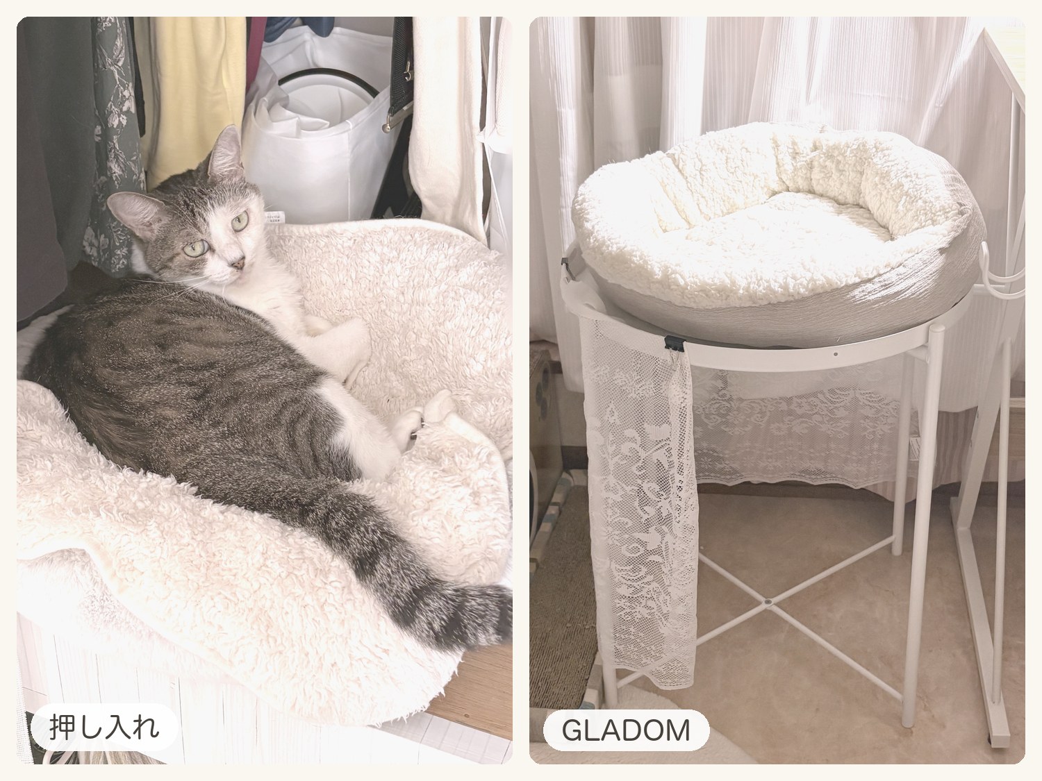 左：押し入れの丸いベッドで寝ているPちゃん。右：IKEAのGLADOMの上にのせた、DAISOの丸形ペットベッド