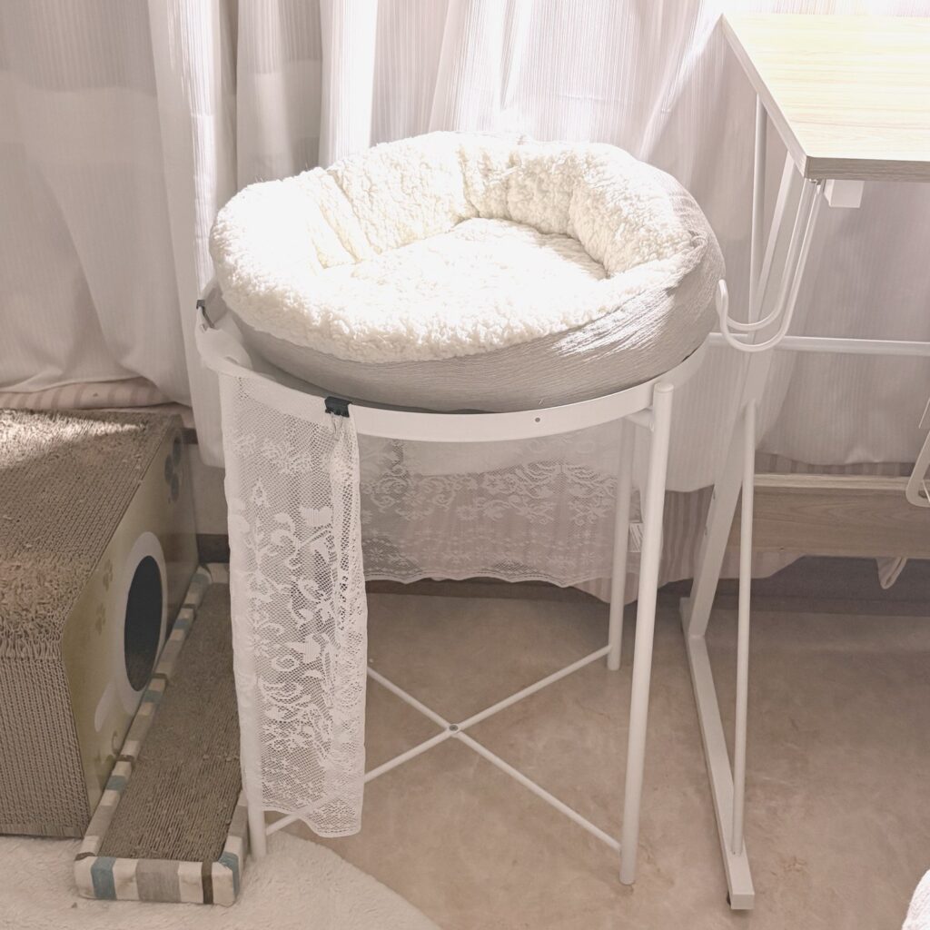 IKEAのGLADOMの上にのせた、DAISOの丸形ペットベッド。右に机がある