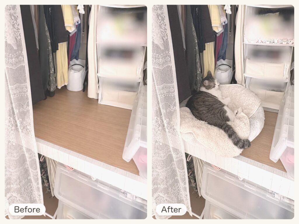 DAY 20「押し入れクローゼットの中に、猫の寝床をつくる」のサムネイル