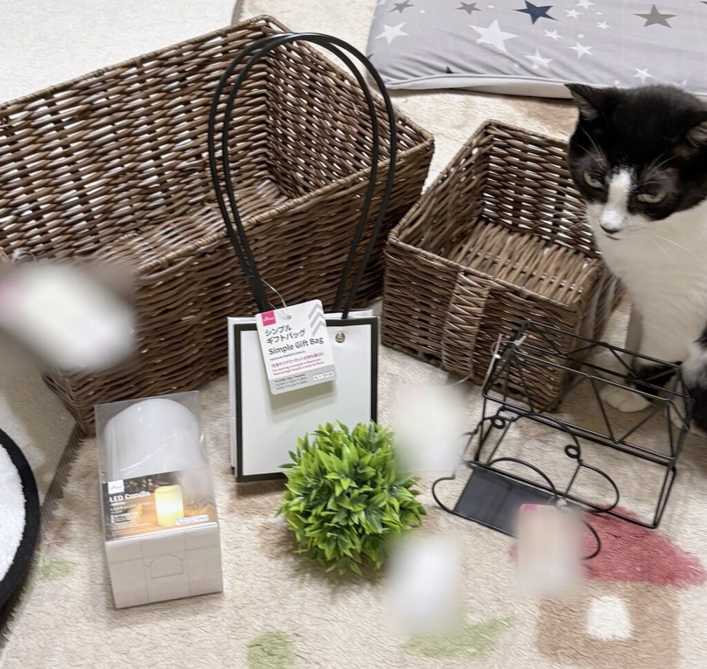 DAISOで買った物。ラタン風のかご大小2つ、LEDキャンドル、白黒のギフトバッグ、グリーンボール、家型と雲型の黒いワイヤーの飾り。右にCちゃん(ハチワレ)が座っている