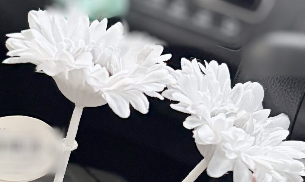 CanDoで買った白いガーベラの造花2本