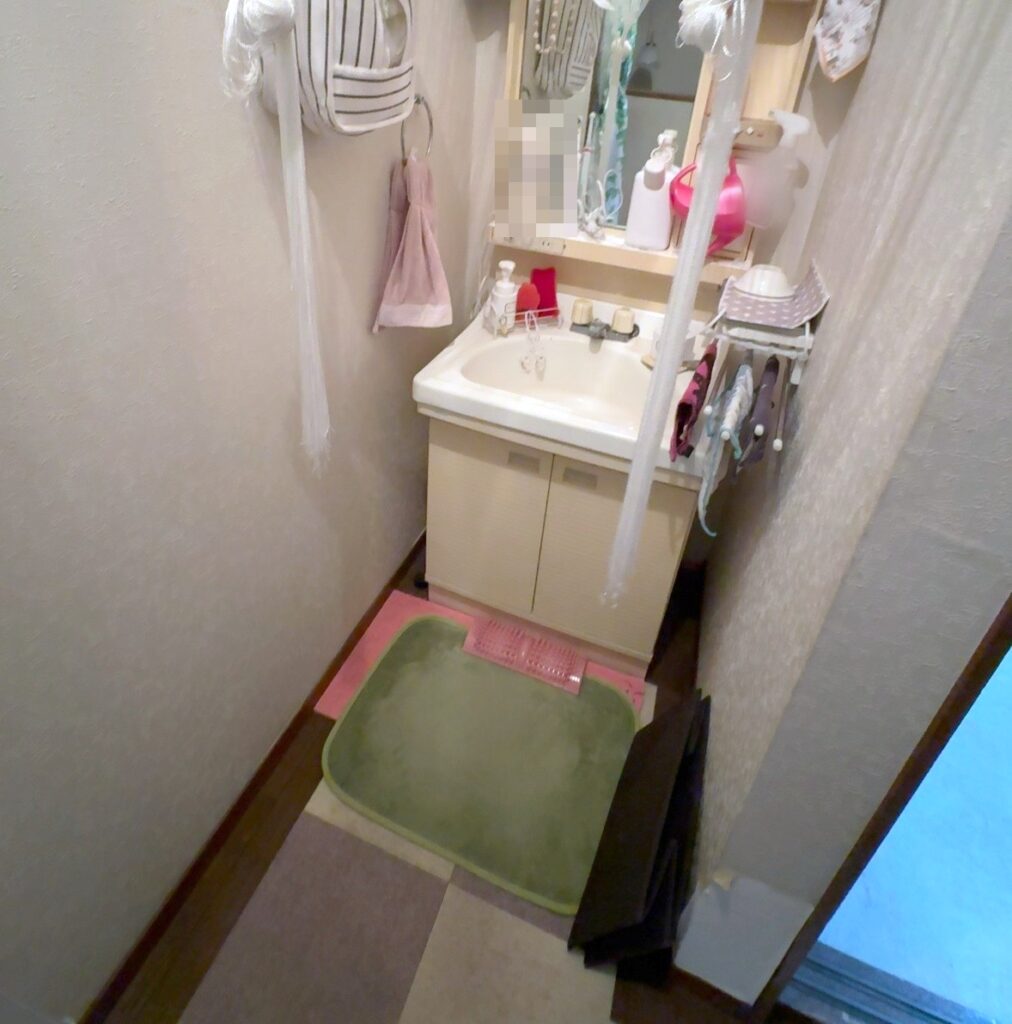 前の洗面所。洗面台の前に緑のマットとピンクのマット、左右に束ねた白い紐カーテン、洗面台の右にお皿を乾かすラック