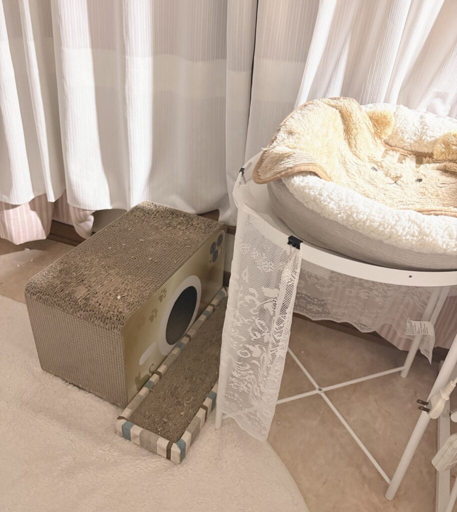 窓ぎわのGLADOMの上のCちゃんのベッドと、その横に置いた箱型と板型の2種類の段ボールの爪とぎ