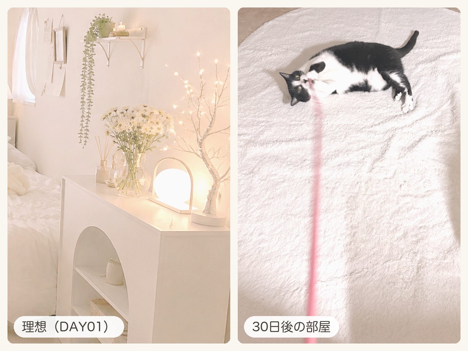 左はDAY01でChatGPTに作ってもらった、白い棚に花とライトを飾った理想の部屋のイメージ、右は部屋の真ん中の白いラグの上で、ピンクのおもちゃをくわえて寝ころぶハチワレのCちゃん
