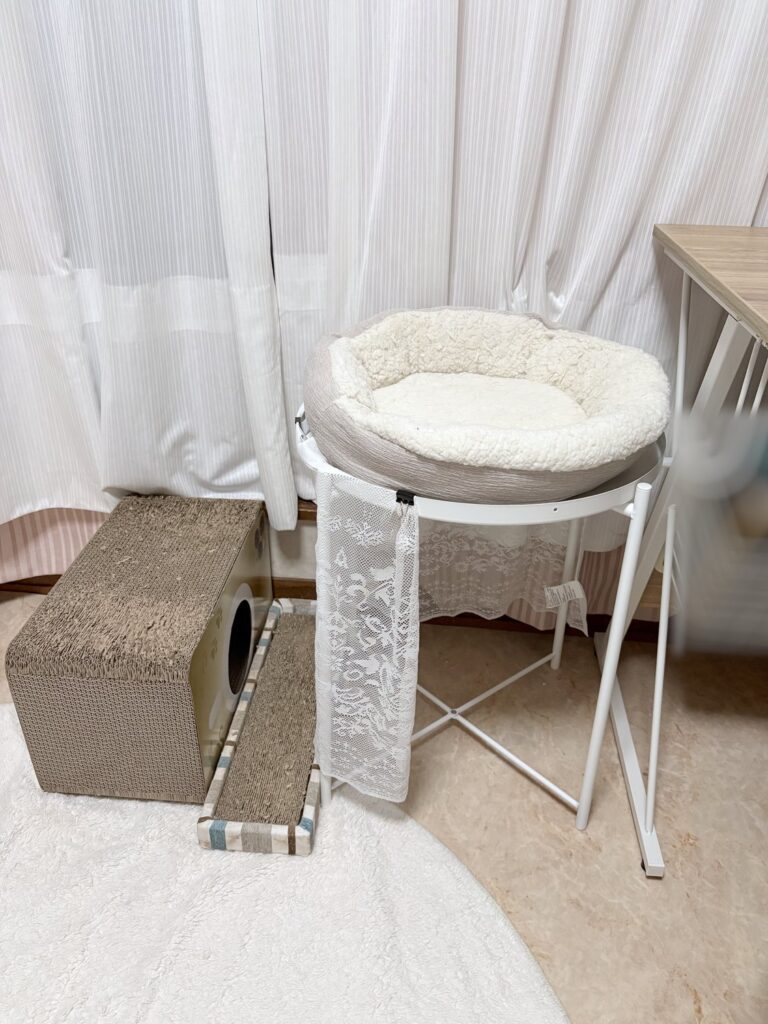 窓ぎわの白いカーテンの前に置いた、IKEAのGLADOMのテーブル。上には丸いペットベッドがのっていて、テーブルの下には何もない。左に段ボールの爪とぎが2つある